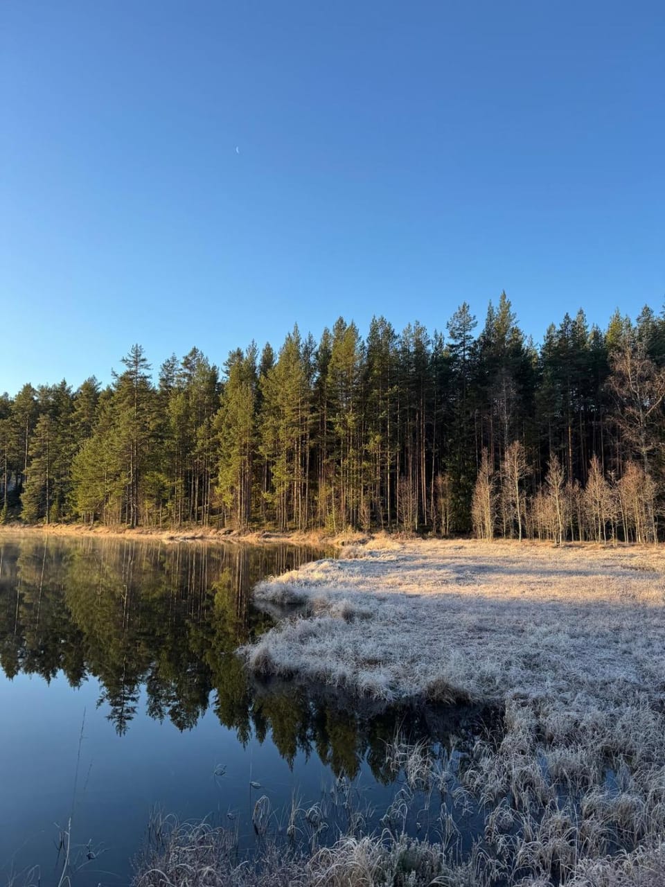 Stuga Owl House in Innlandet
