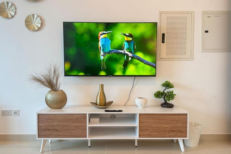 TV and multimedia