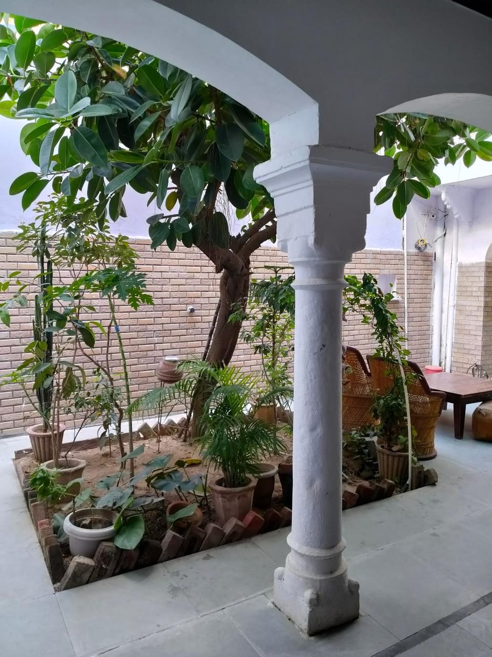 Patio, Garden view