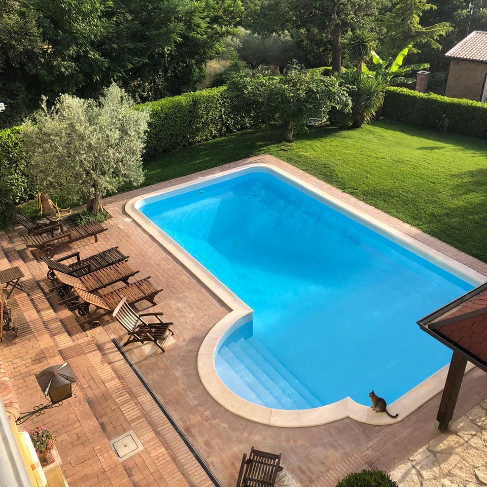 Garden view, Pool view, Swimming pool