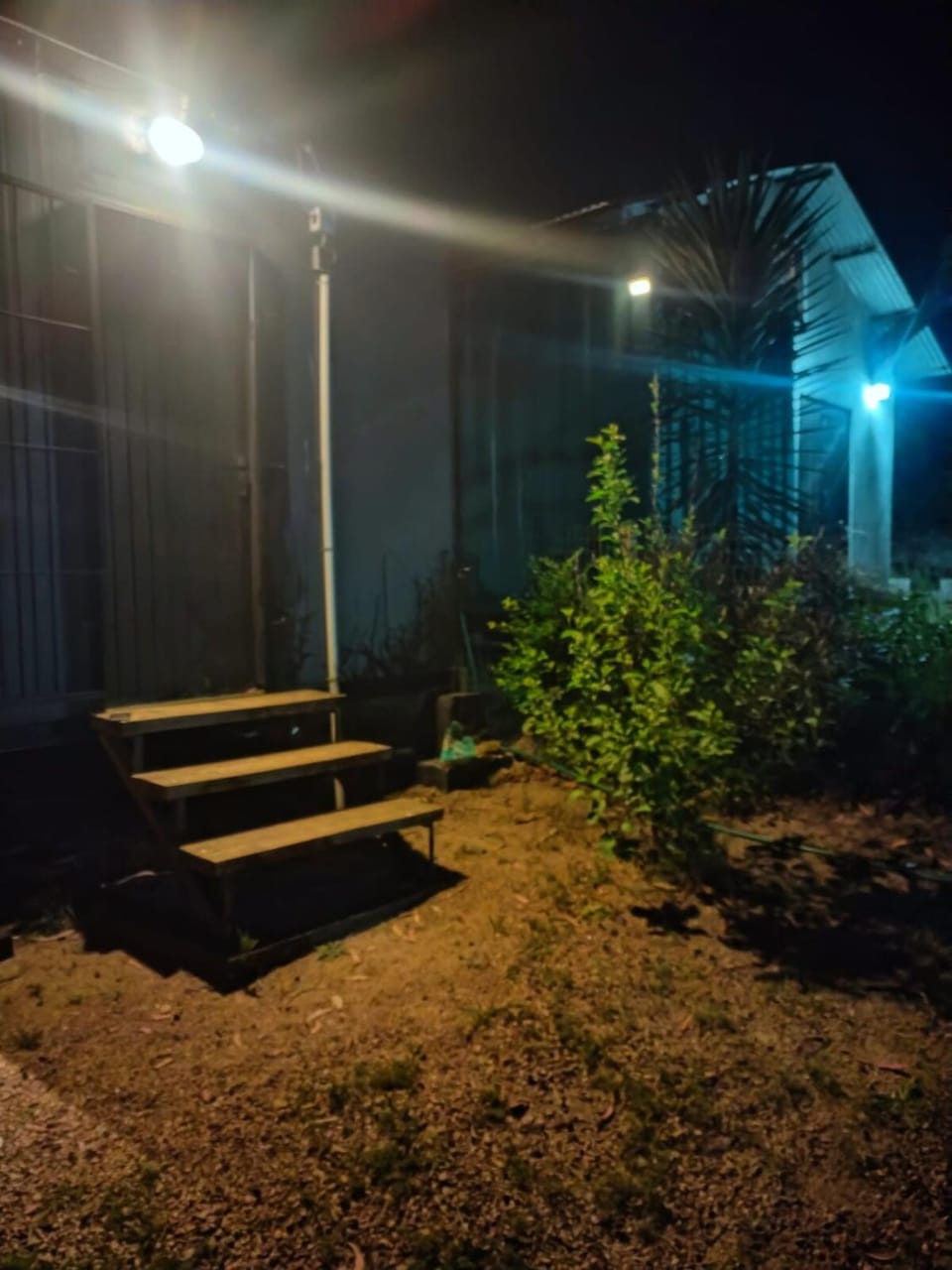 Night, Garden, Garden view