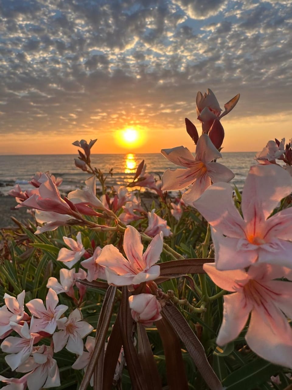 Natural landscape, Sea view, Sunrise, Sunset