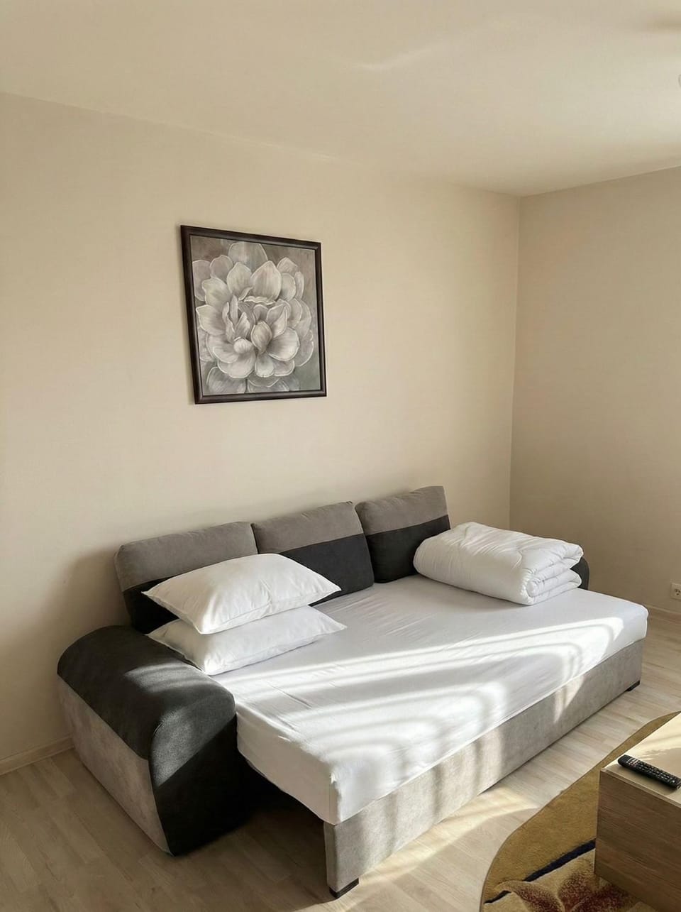 Bed, Living room, Photo of the whole room, Seating area, Bedroom