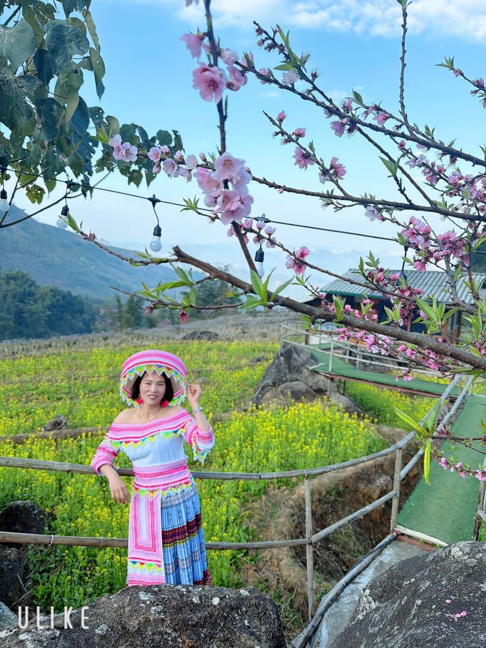 Tổ Ếch Homestay Apartment in Laos