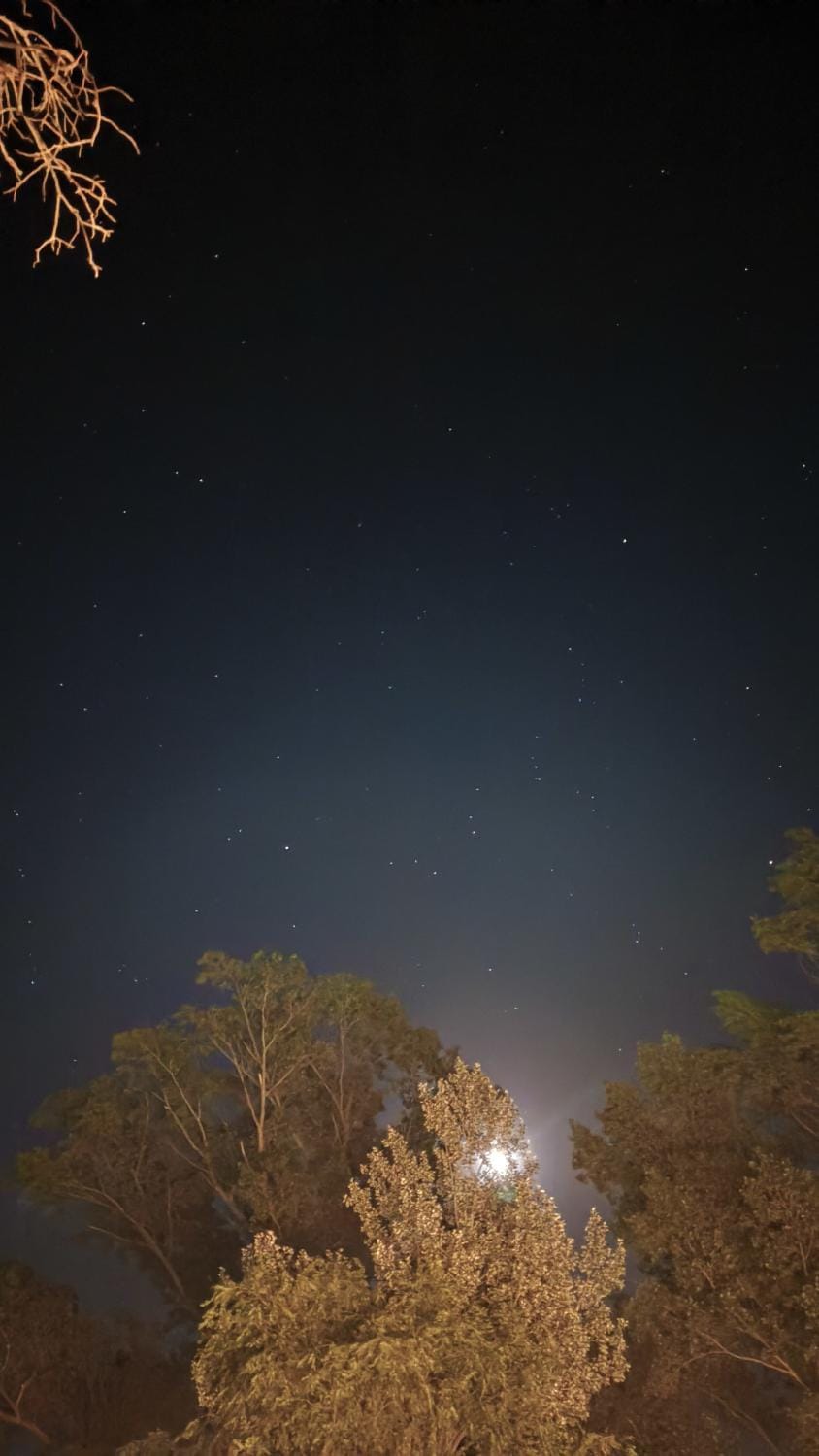 Night, Natural landscape, Garden