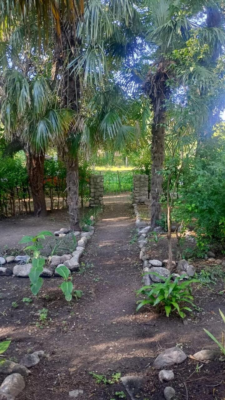 Lobby or reception, Garden view