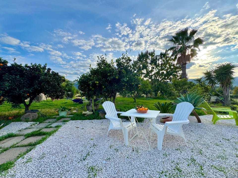 Natural landscape, Garden, Dining area, Garden view