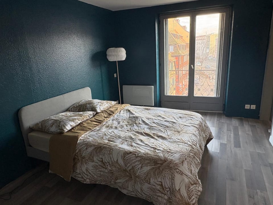 Le cocon de la Krutenau Apartment in Strasbourg