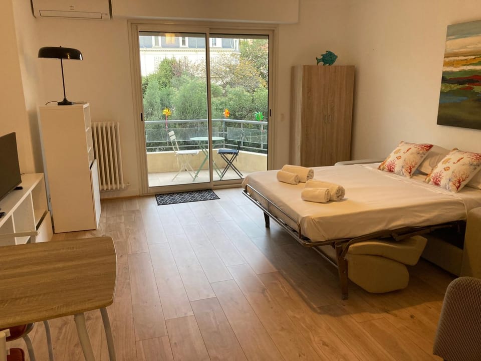 Grand studio pointe croisette Apartment in Cannes