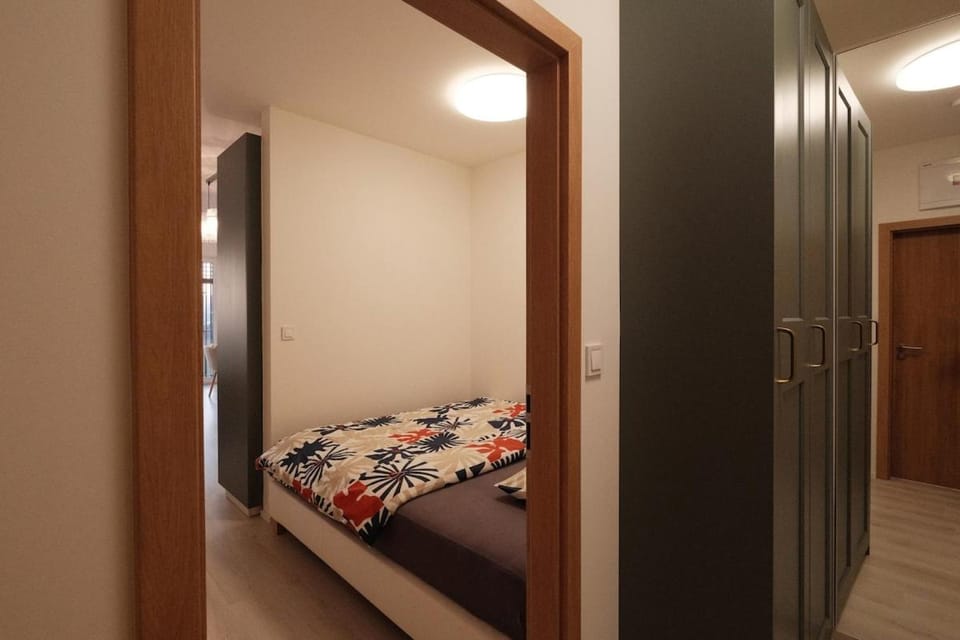 Homey 610 Apartment Apartment in Brno