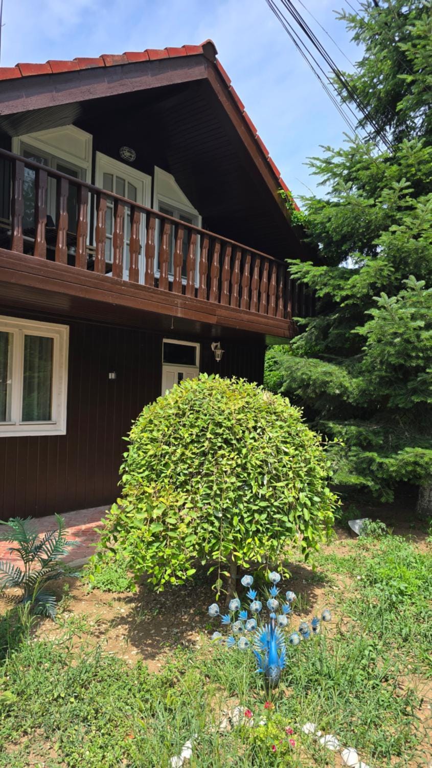Property building, Spring, Day, Garden, Garden view