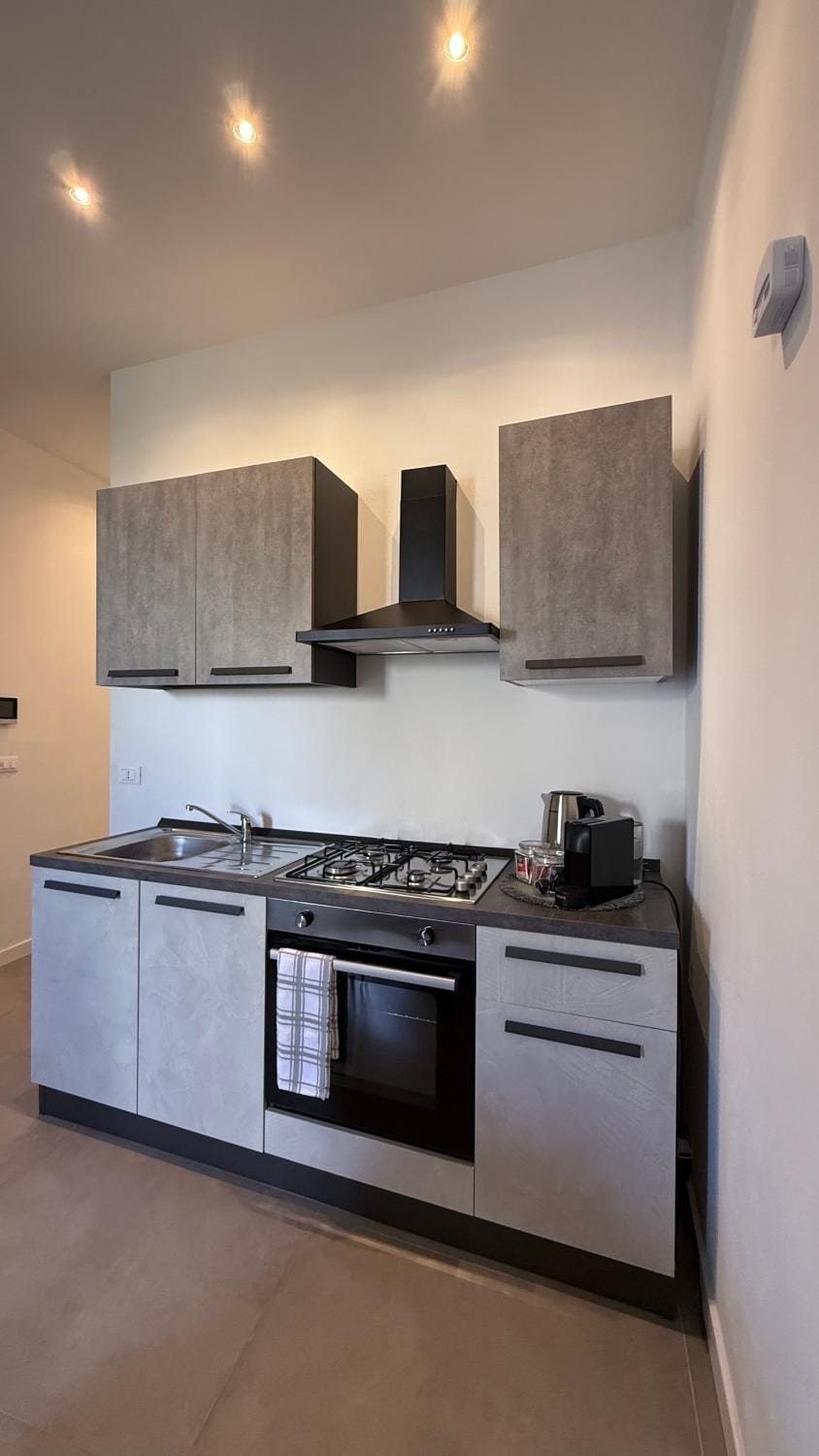 Kitchen or kitchenette, minibar, oven, stove