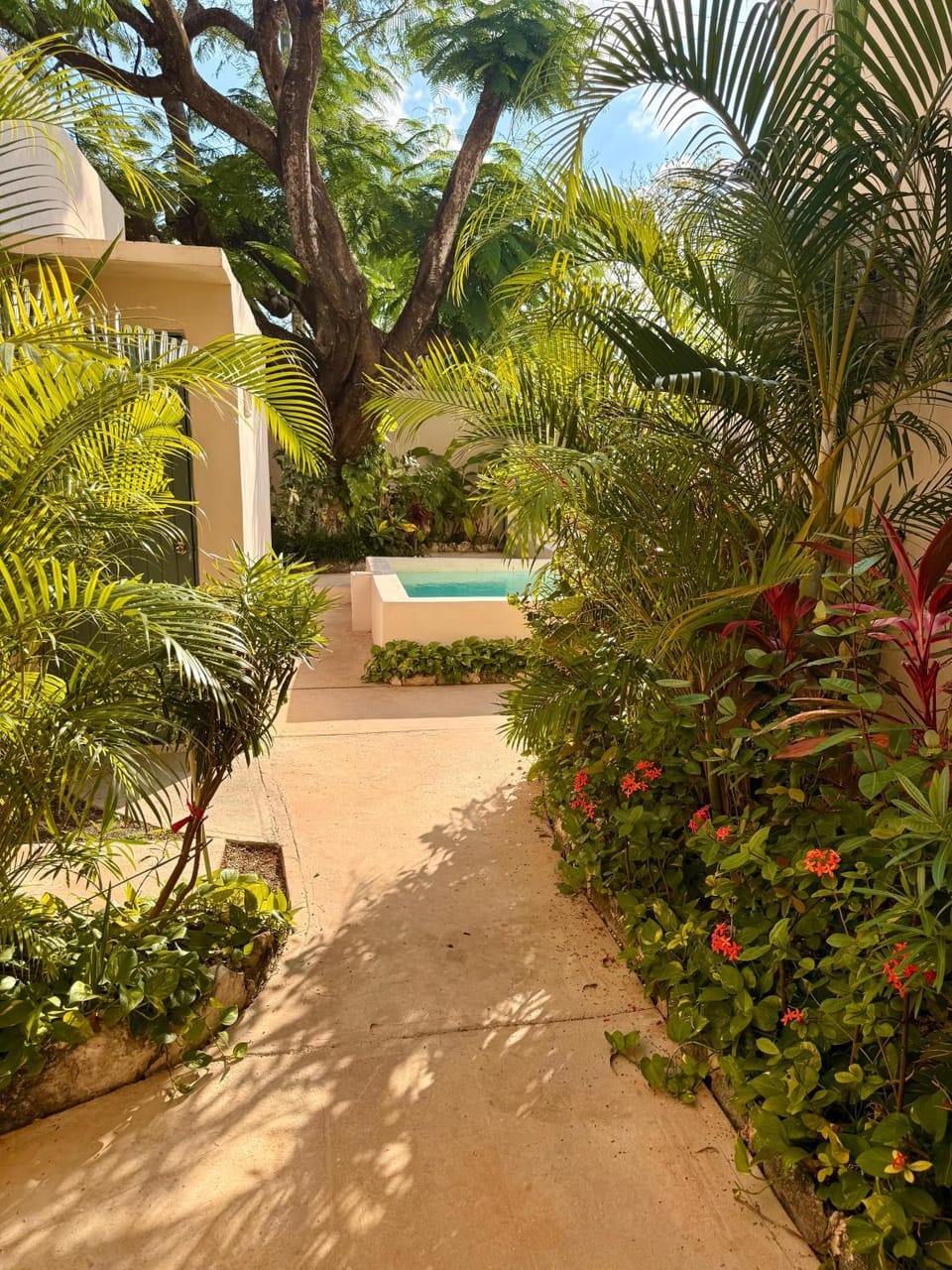 Acogedor estudio con piscina Apartment in Cancun