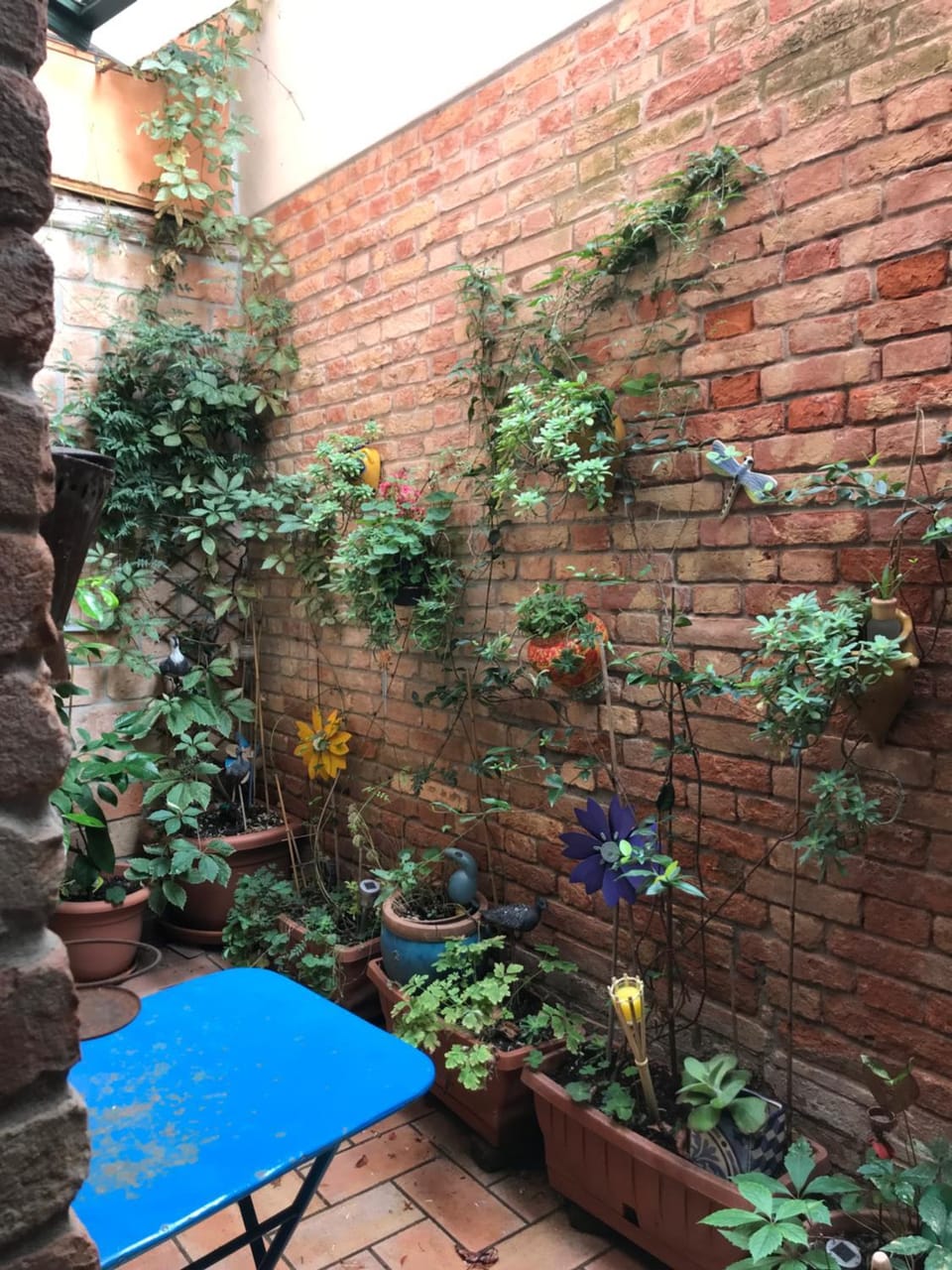 Patio, Garden, Balcony/Terrace