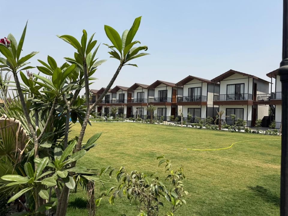 Property building, Natural landscape, Garden