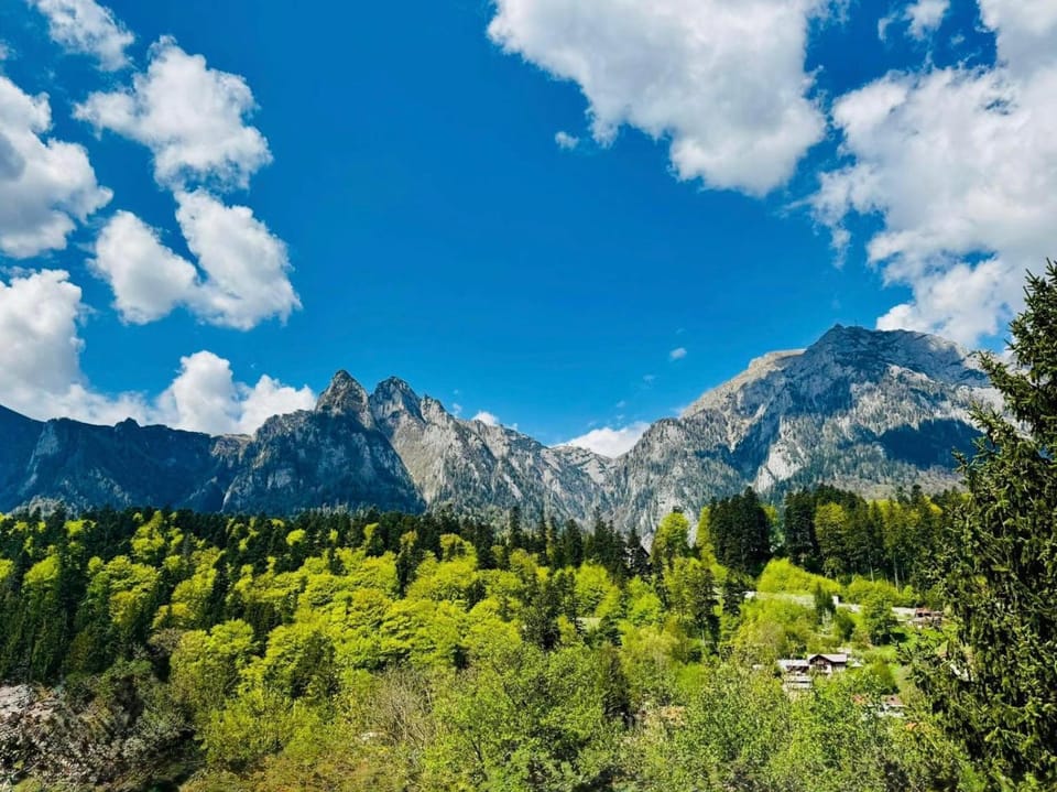 Mountain view