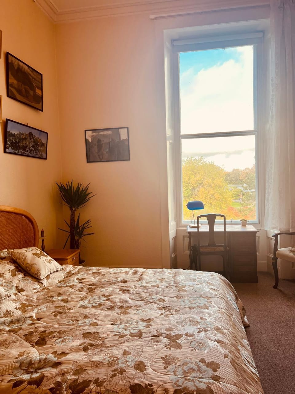 Bed, TV and multimedia, Bedroom