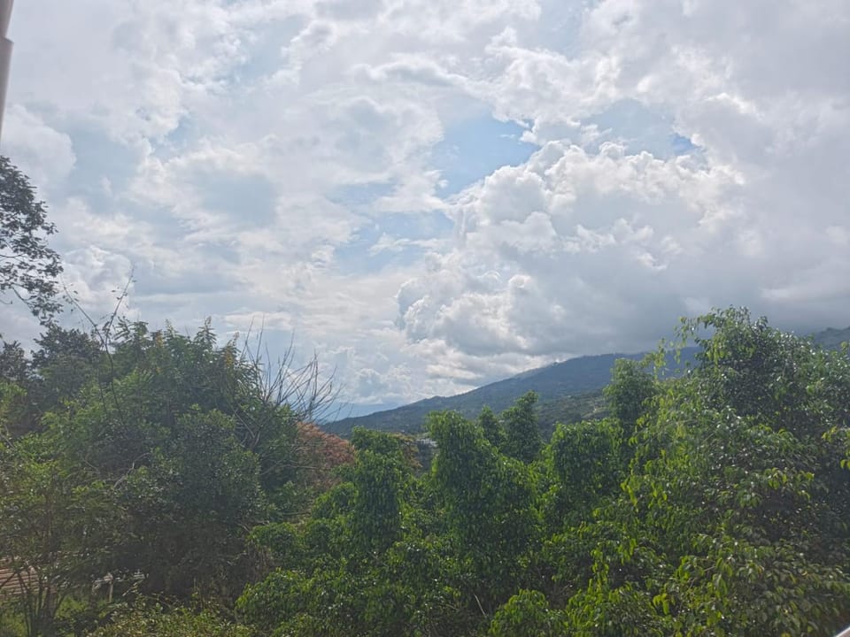 Mountain view