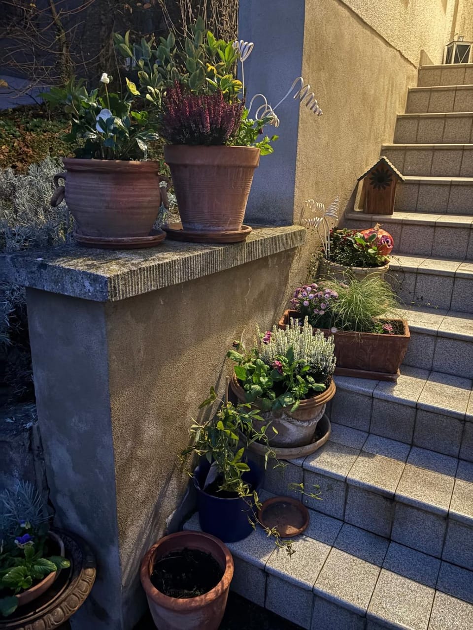 Les grands arbres Apartment in Grand Est