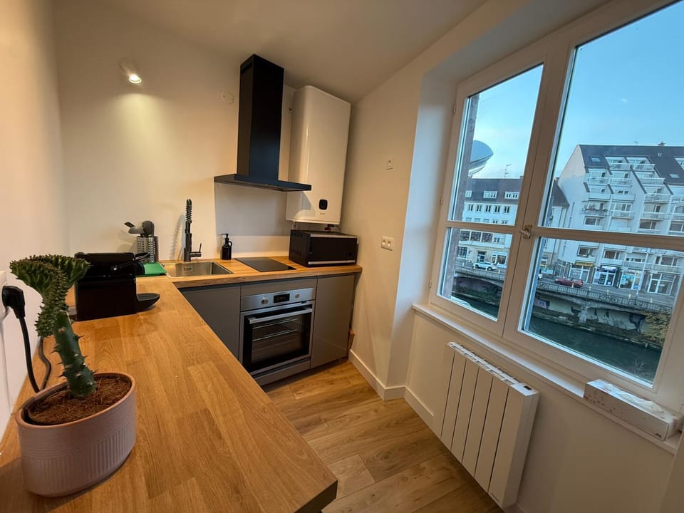 L'Ecrin de la Petite France Apartment in Strasbourg