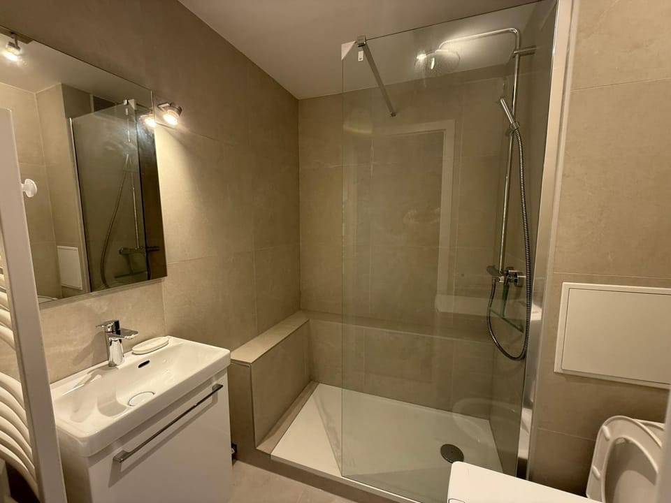 L'Ecrin de la Petite France Apartment in Strasbourg
