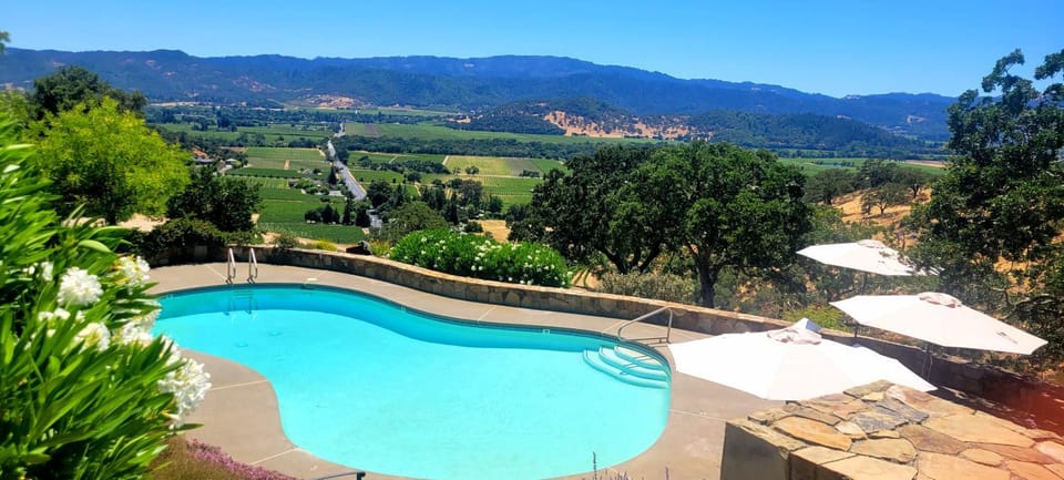 Day, Natural landscape, Garden, Swimming pool, Swimming pool, sunbed
