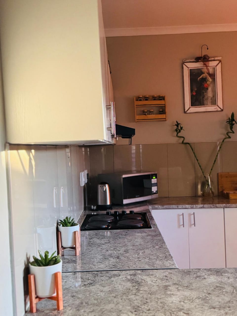 Communal kitchen, kitchen