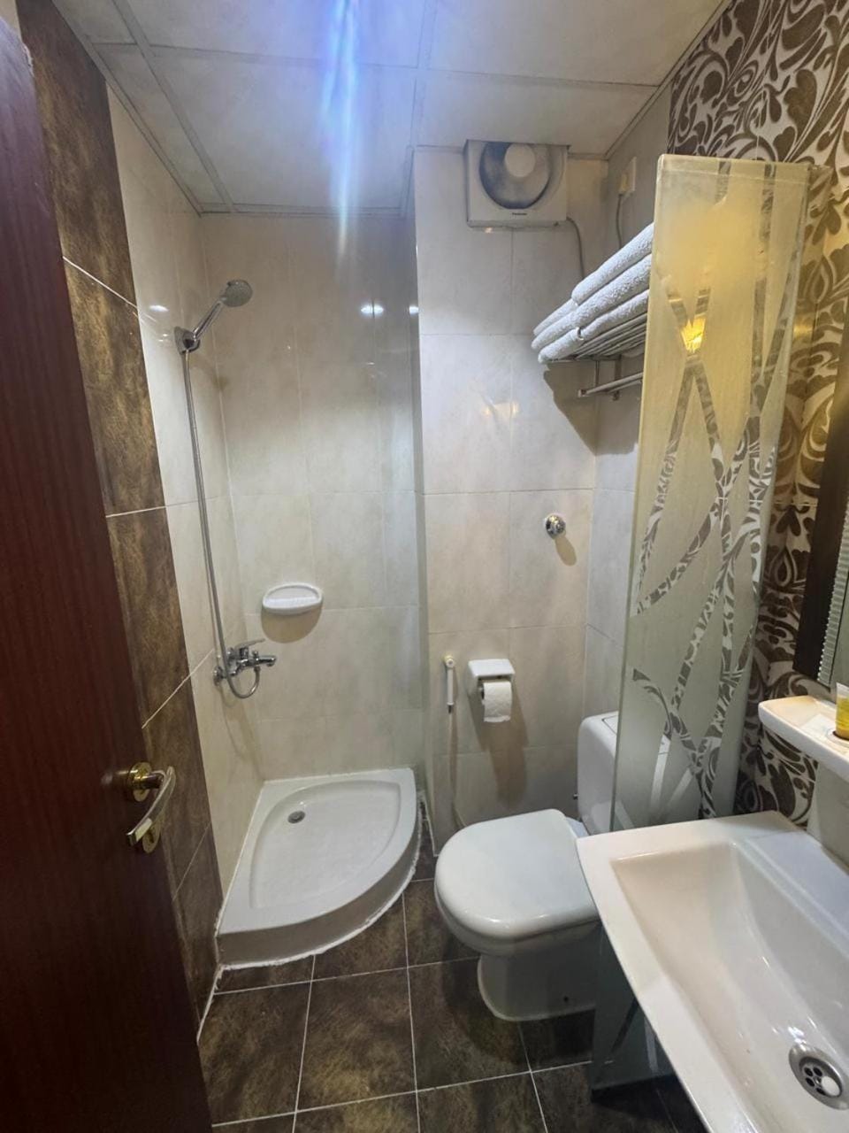 Shower, Toilet, Bathroom, Bath, bidet, towels