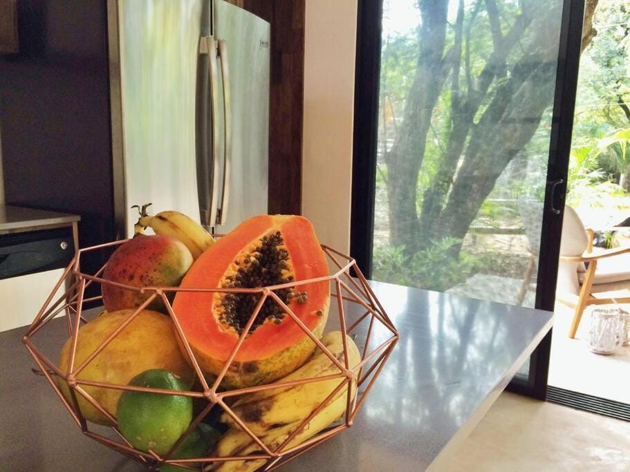 Nalu Nosara Pool Villa Sombra Villa in Guanacaste Province