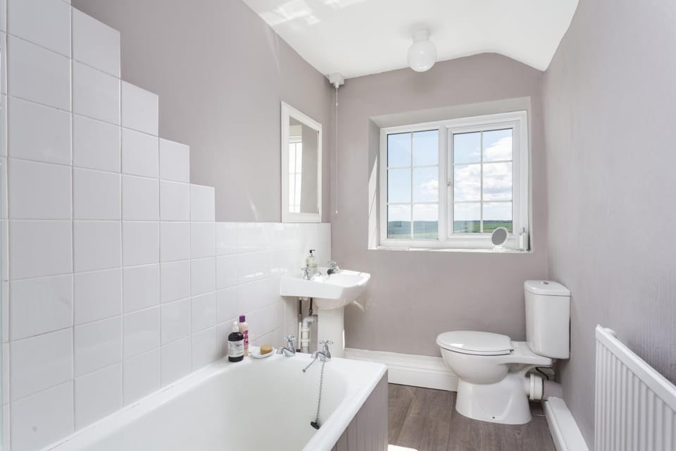 Toilet, Bathroom, Bath, bidet