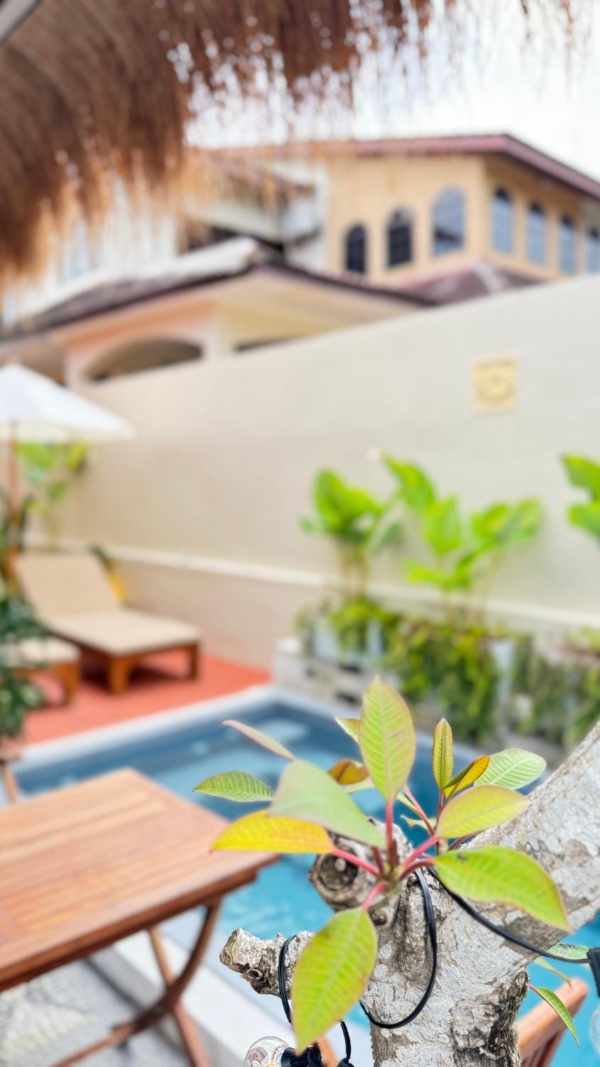 Patio, View (from property/room), Balcony/Terrace, Pool view, Swimming pool