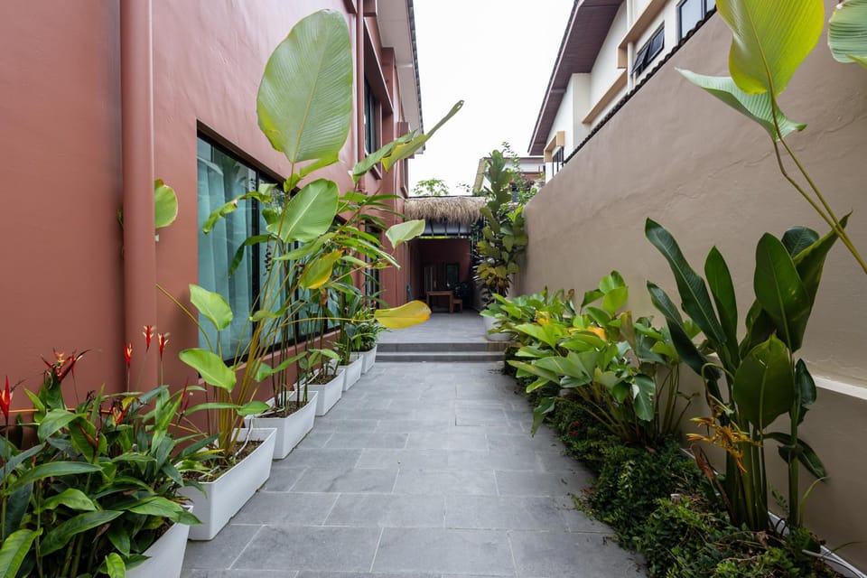 Property building, Garden, Garden view