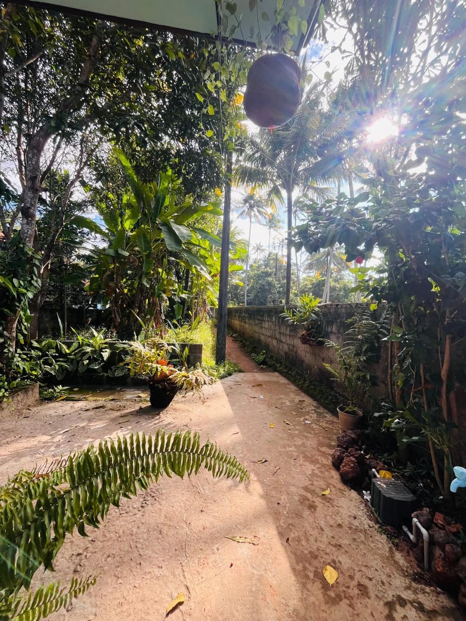 Natural landscape, Garden, Garden view