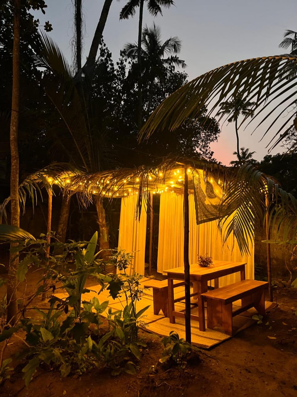 Night, Garden