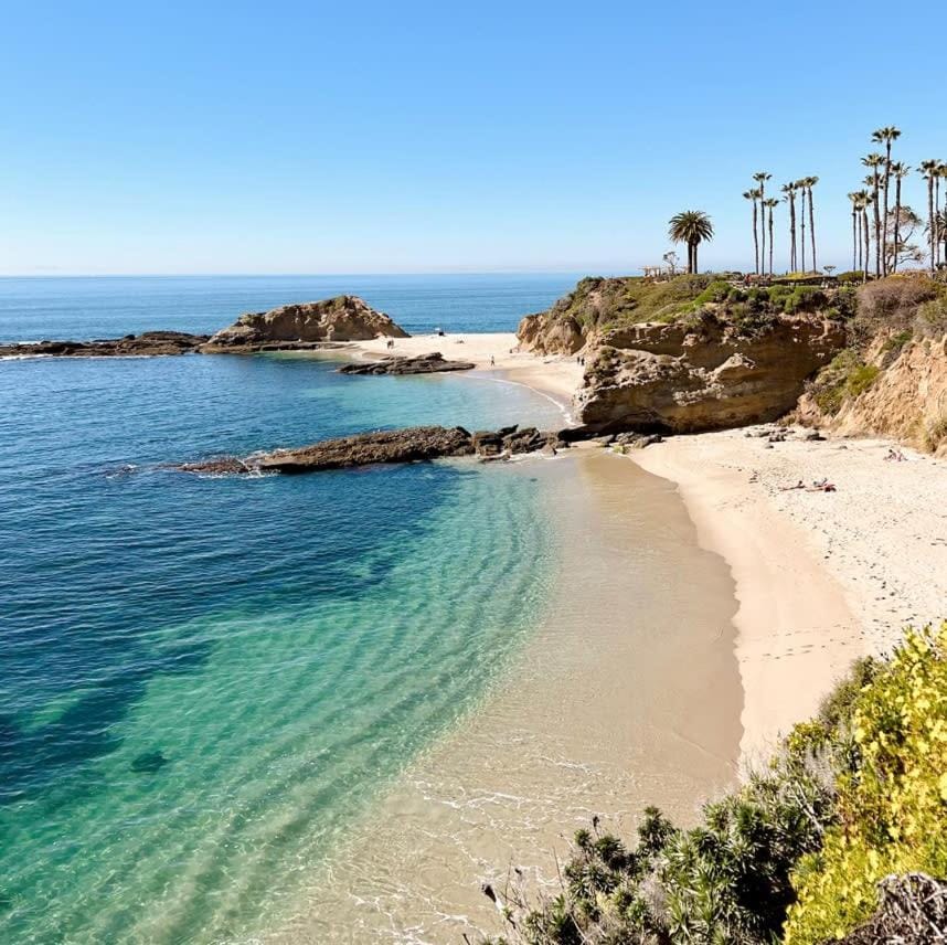 Affordable 1 Queed bed Apartment in Beverly Hills Apartment in Beverly Hills