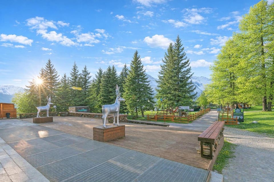 Other