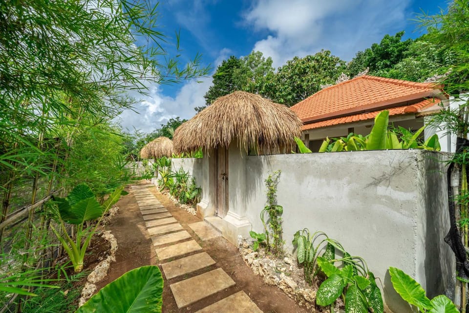 Spring, Day, Natural landscape, Garden, Garden view