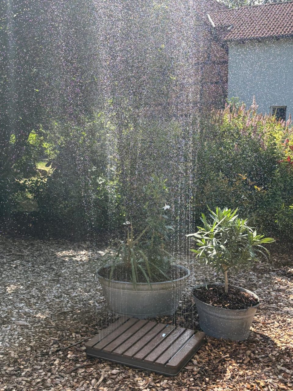 Shower, Spring, Day, Garden, Garden view