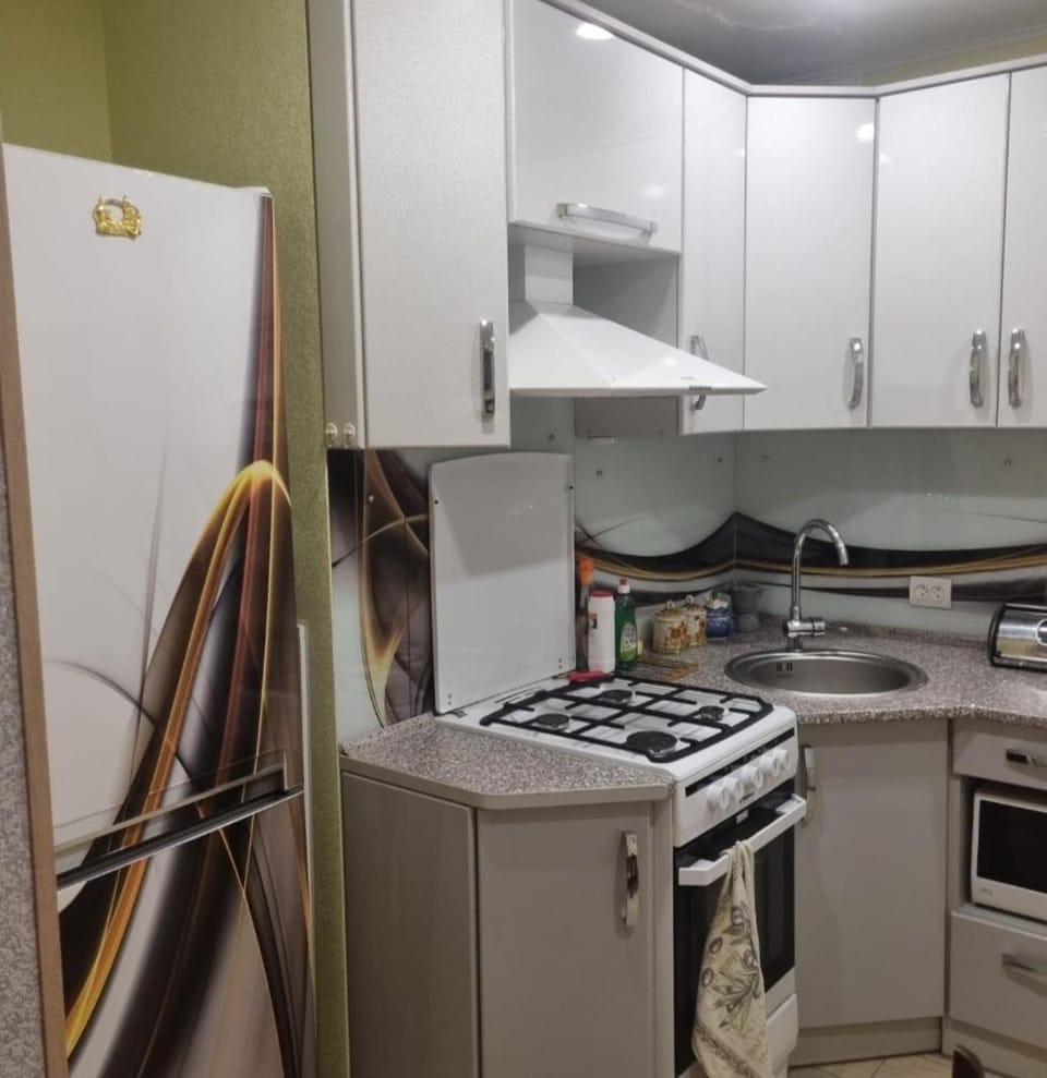 1 комн в центре возле фонтана,рядом клиника Доктор Дрога Apartment in Ukraine