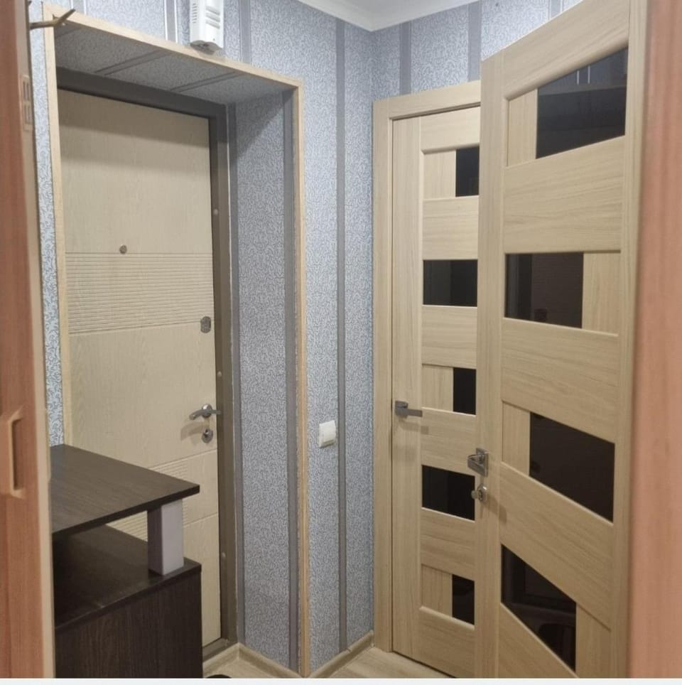 1 комн в центре возле фонтана,рядом клиника Доктор Дрога Apartment in Ukraine
