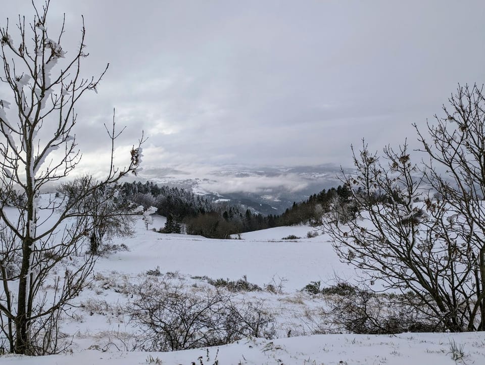 Mountain view