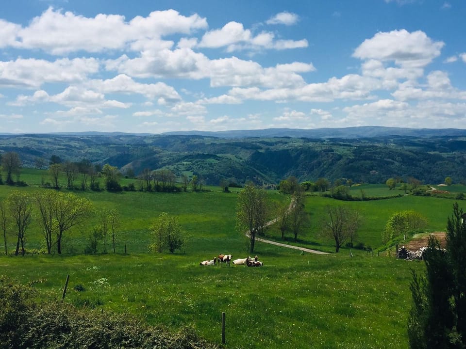 Spring