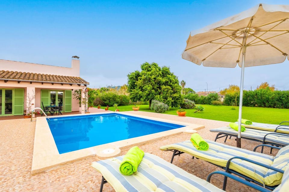 Garden, Swimming pool, sunbed