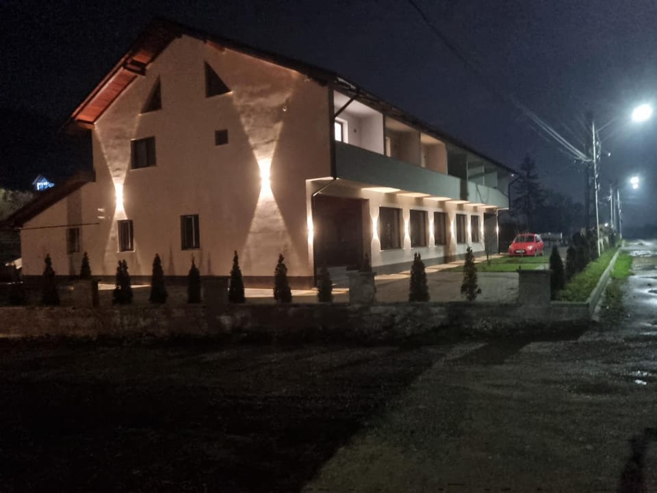 Pensiunea ALDA Bed and Breakfast in Romania