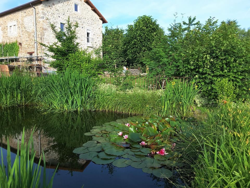 Garden, River view