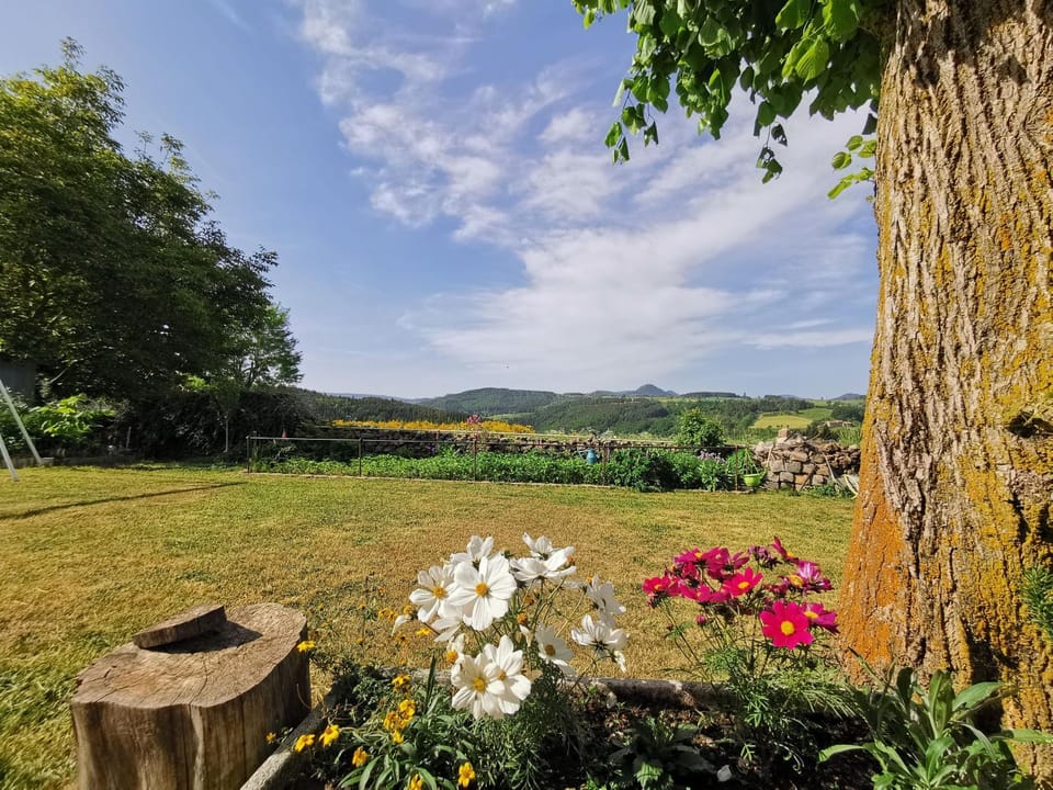 Garden view