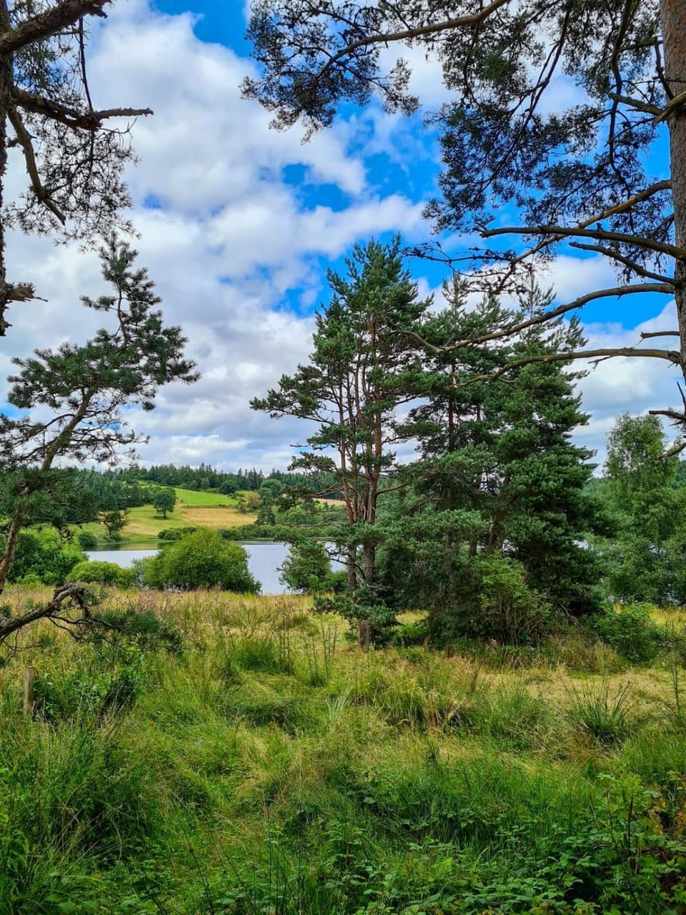 Day, Natural landscape