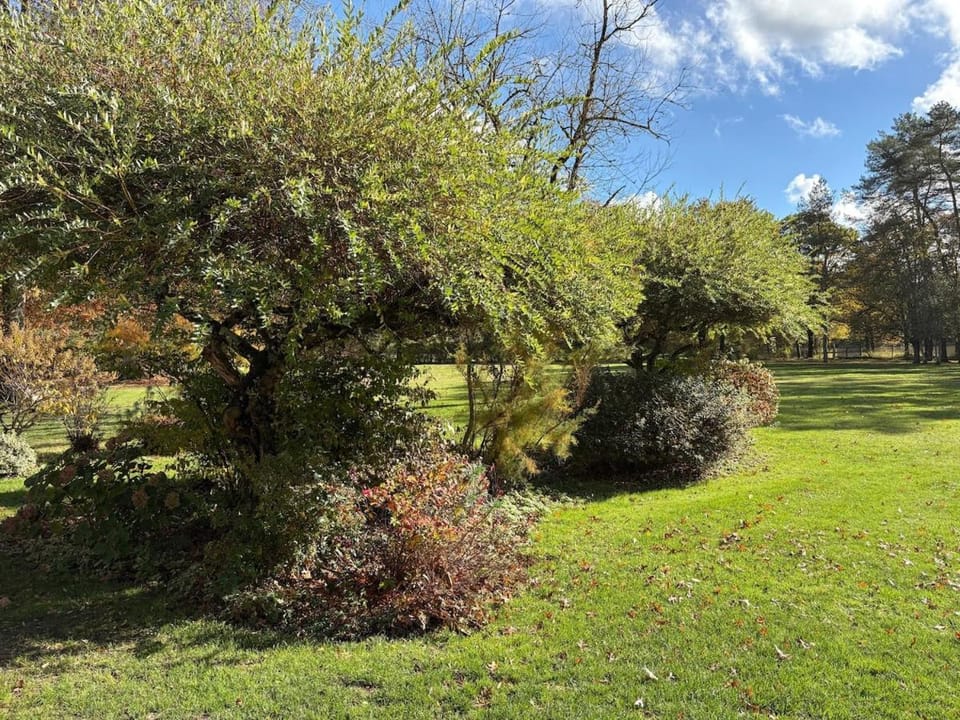 Au Bois Clair, Nature au coeur de la Sologne, Zoo de Beauval, Châteaux de la Loire, WIFI, 1 chambre, 2 lits, 1 SDB House in Centre-Val de Loire