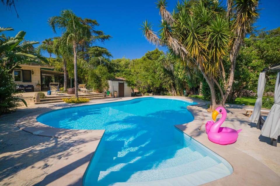 Pool view, Swimming pool