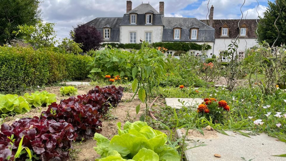 Property building, Spring, Garden